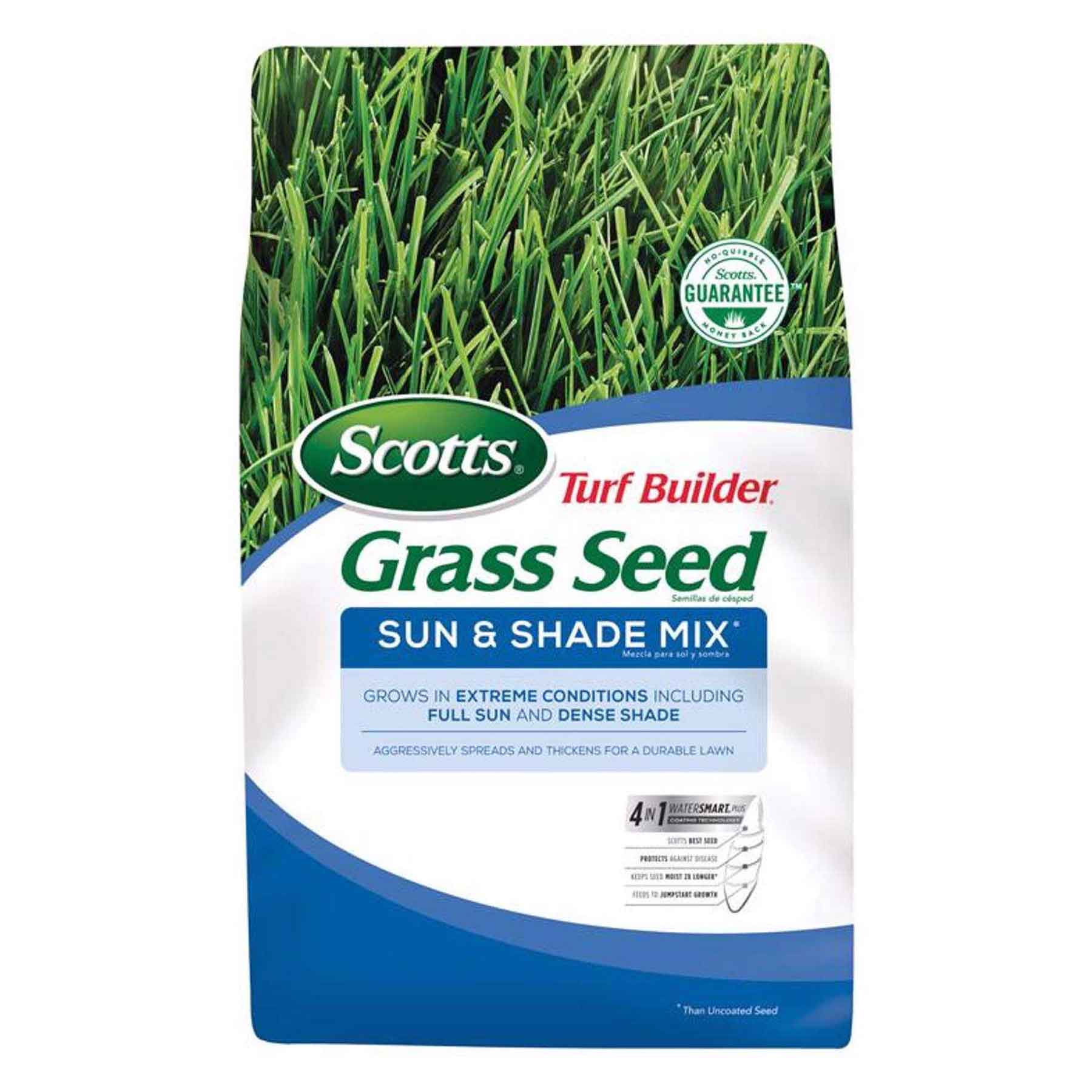 Scotts Grass Seed Moore Lumber Ace Hardware