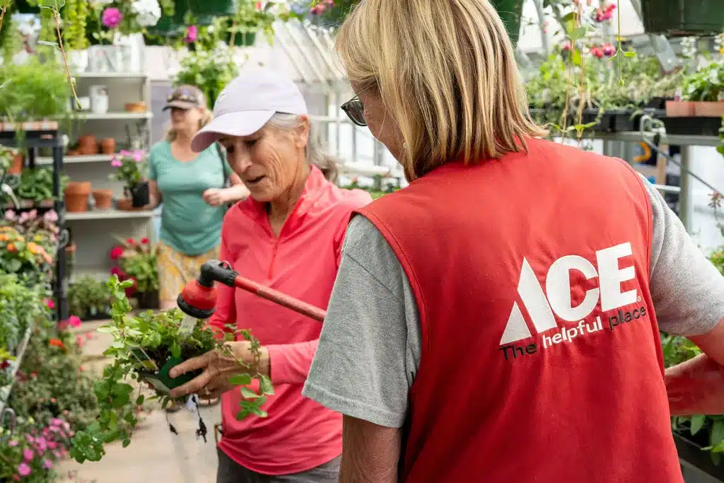 Roundup Weed Killer Moore Lumber Ace Hardware